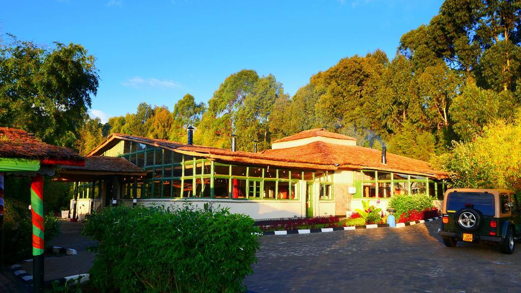 Le Bambou Gorilla Lodge Kinigi Ngoại thất bức ảnh
