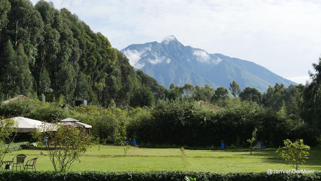 Le Bambou Gorilla Lodge Kinigi Ngoại thất bức ảnh
